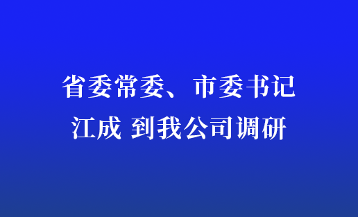 省委常委、市委书记江成到我公司调研